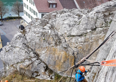 Sträucher schneiden in einer Felswand unterhalb der reformierten Kirche Aarburg, Auflage 2017