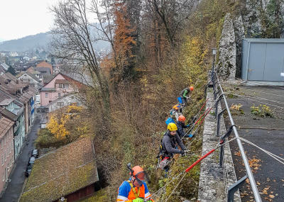 Sträucher schneiden in einer Felswand unterhalb der reformierten Kirche Aarburg, Auflage 2017